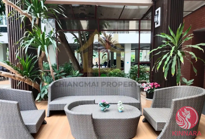 300 Sqm Duplex Condo | Chang Phueak | Chiang Mai - Apartment, Mueang Chiang Mai, Chiang Mai - photo 3