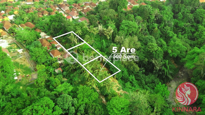 500 sqm with Stunning Views - Land, Tabanan, Bali - photo 3