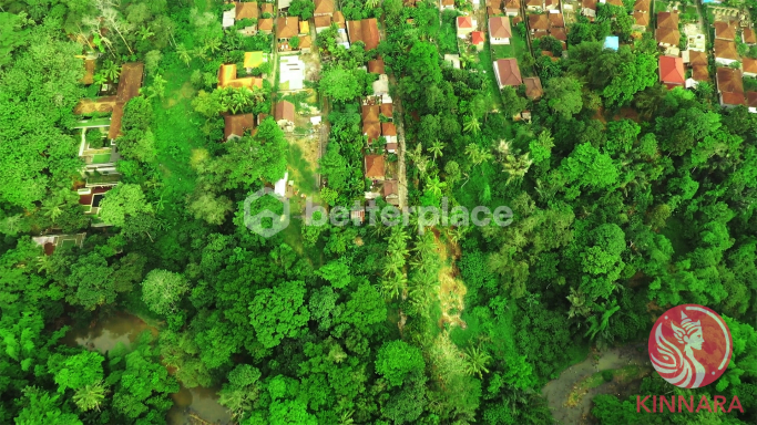 500 sqm with Stunning Views - Land, Tabanan, Bali - photo 4