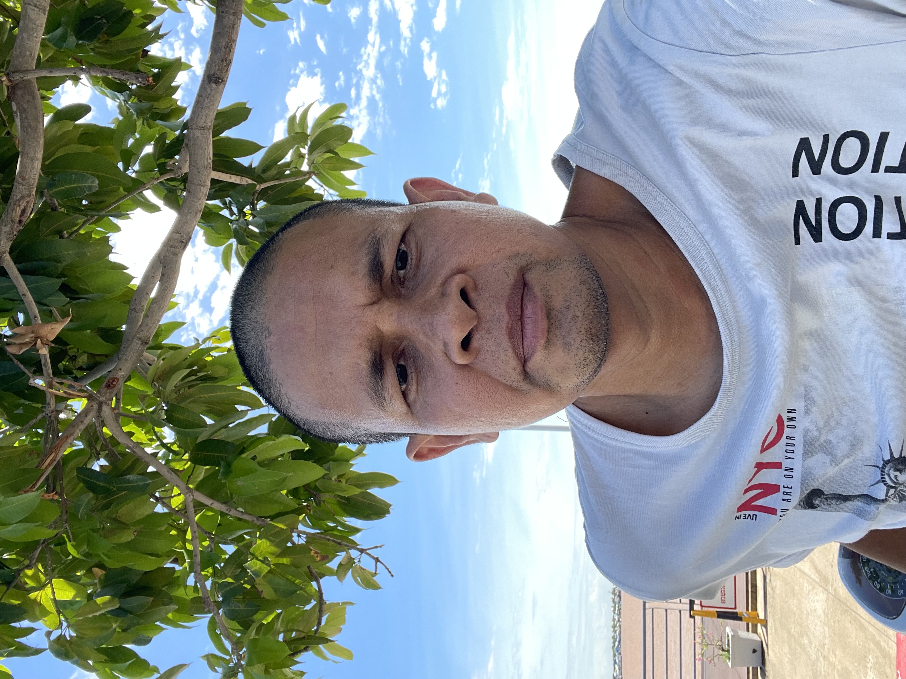 agent image2