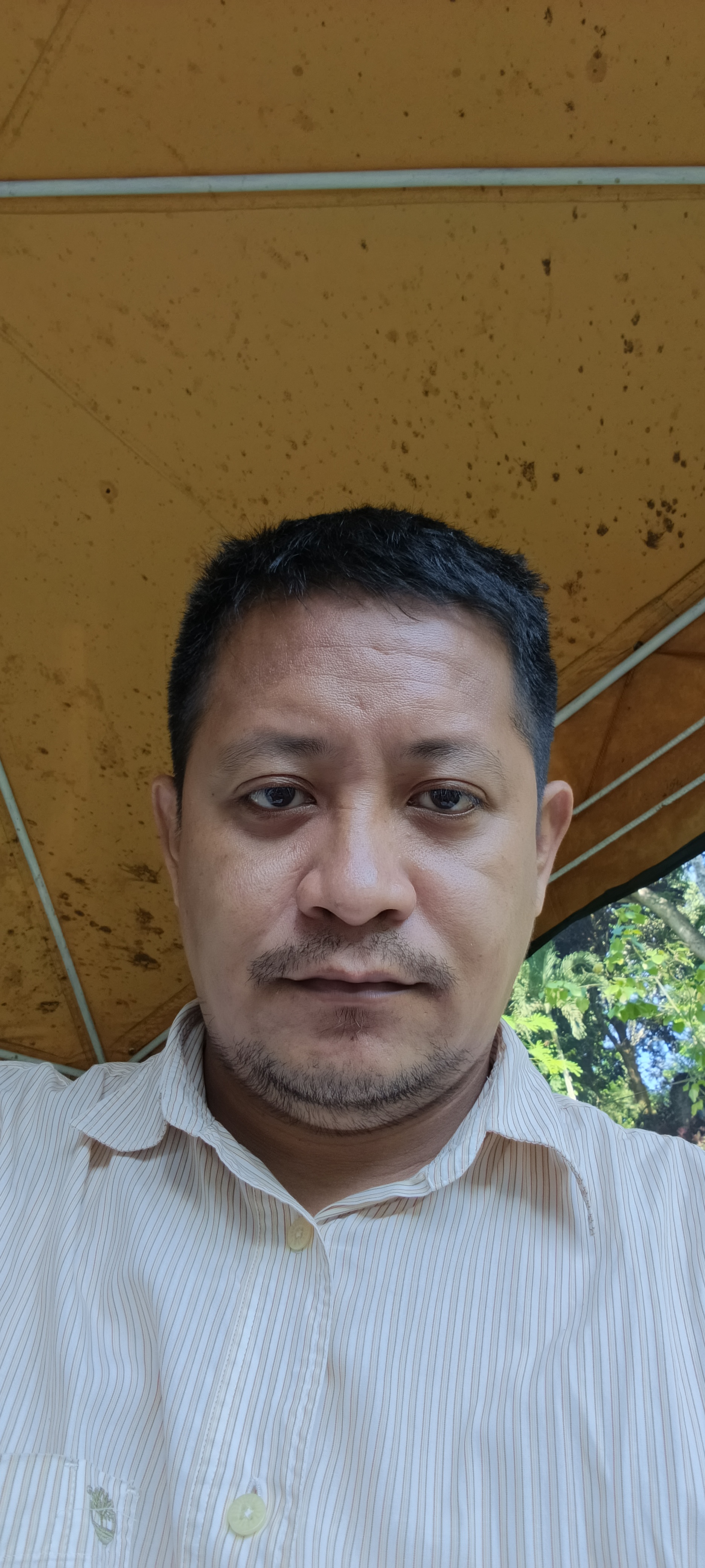 agent image2