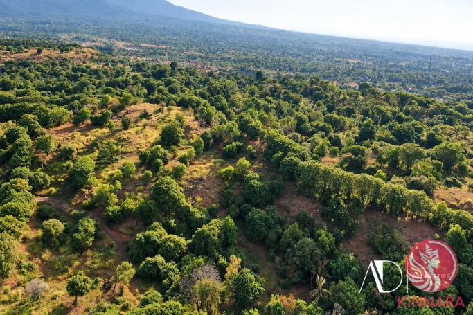 FREEHOLD LAND IN TULAMBEN - Land, Karangasem, Bali - photo 2