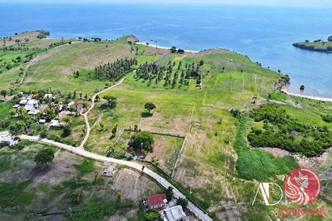 FREEHOLD LAND IN LOMBOK - Land, Lombok, East Nusa Tenggara - photo 2