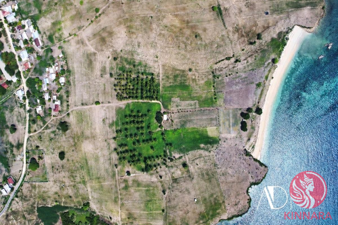 FREEHOLD LAND IN LOMBOK - Land, Lombok, East Nusa Tenggara - photo 3