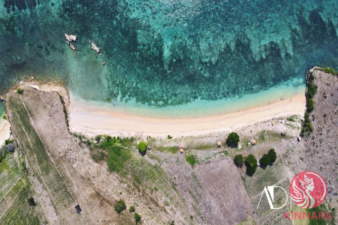 FREEHOLD LAND IN LOMBOK - Land, Lombok, East Nusa Tenggara - photo 6