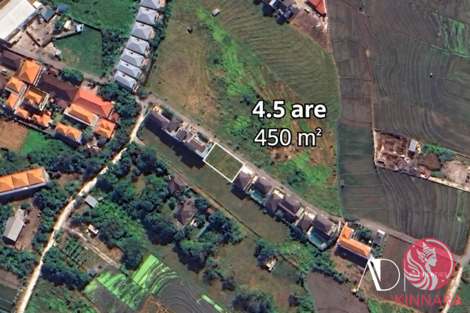 永久产权 4.5阿尔土地 - Land, Badung, Bali - photo 4