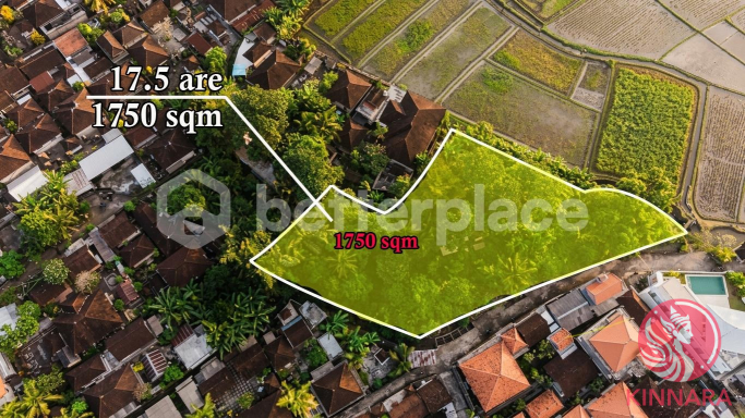1750sqm Land in Kaba-Kaba - Land, Tabanan, Bali - photo 2