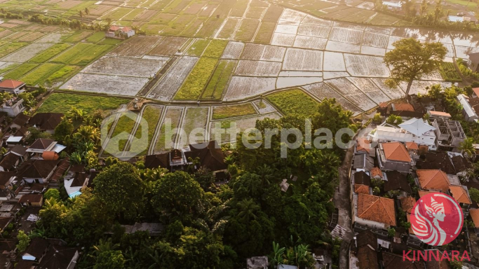 1750sqm Land in Kaba-Kaba - Land, Tabanan, Bali - photo 3