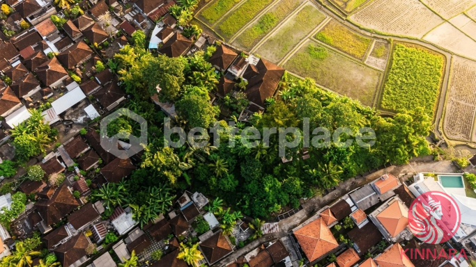 1750sqm Land in Kaba-Kaba - Land, Tabanan, Bali - photo 4