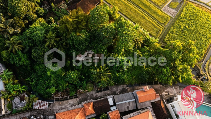 1750sqm Land in Kaba-Kaba - Land, Tabanan, Bali - photo 5