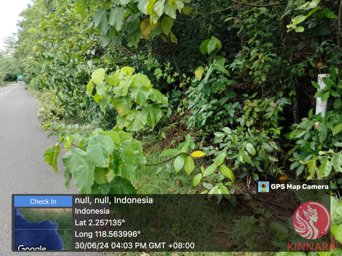 For Sale Exclusive Maratua - Land, Kalimatan Timur, East Kalimantan - photo 8