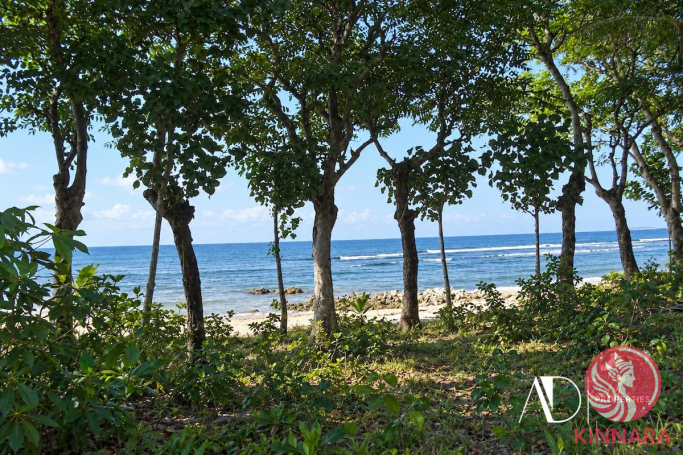 Beachfront Gem: 56,400 Mand - Land, Singaraja, Bali - photo 3