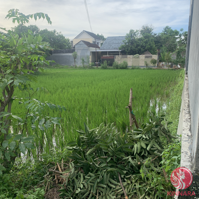 Land For Sale in Lombok - Land, Enter the City, West Nusa Tenggara - photo 2