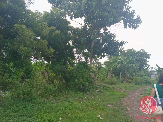 PRIME COMMERCIAL LOT FOR SALE - Land, Cebu City, Cebu - photo 2