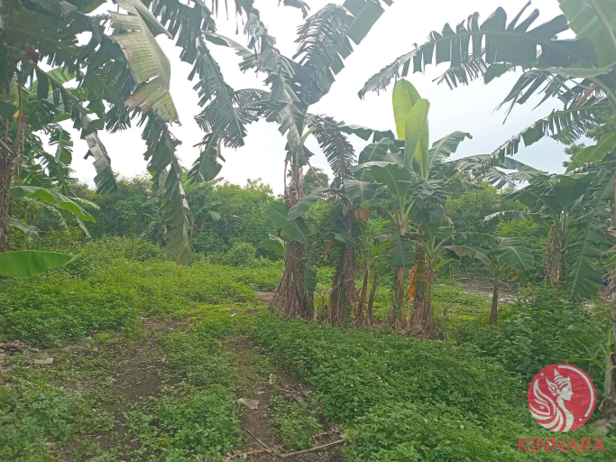 PRIME COMMERCIAL LOT FOR SALE - Land, Cebu City, Cebu - photo 4
