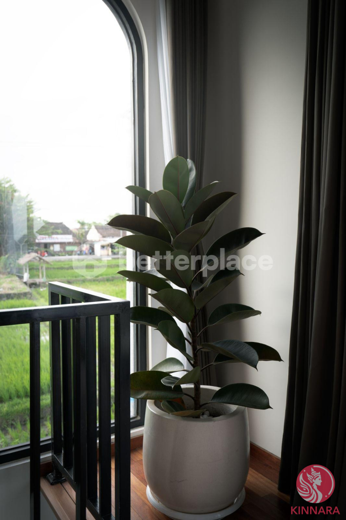 Sleek 1-Bedroom Padonan Villa - Villa, Canggu, Bali - photo 10