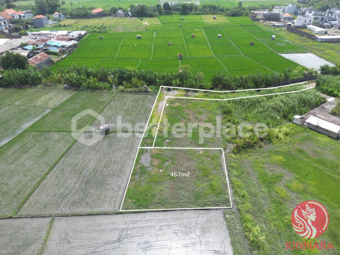 467 sqm Plot in Seminyak - Land, Seminyak, Bali - photo 3