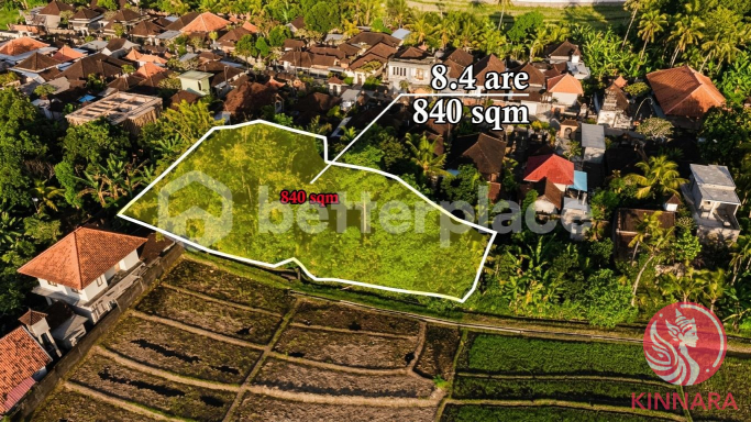 Prime Investment Land - Land, Tabanan, Bali - photo 2