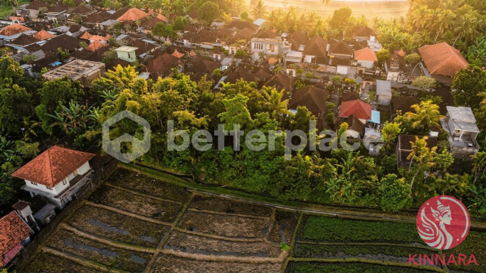 Prime Investment Land - Land, Tabanan, Bali - photo 3
