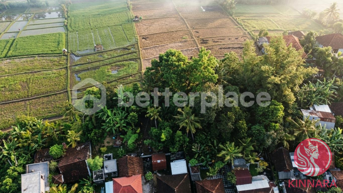 Prime Investment Land - Land, Tabanan, Bali - photo 4