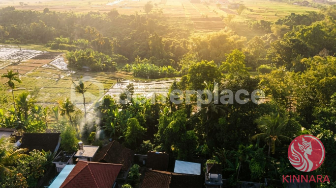 Prime Investment Land - Land, Tabanan, Bali - photo 5