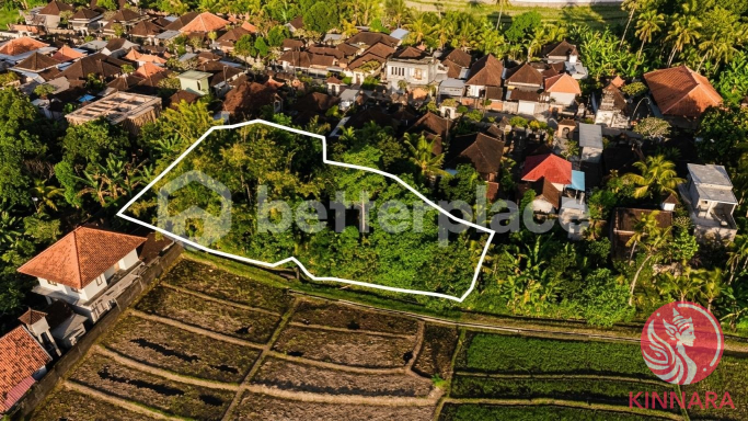 Prime Investment Land - Land, Tabanan, Bali - photo 6