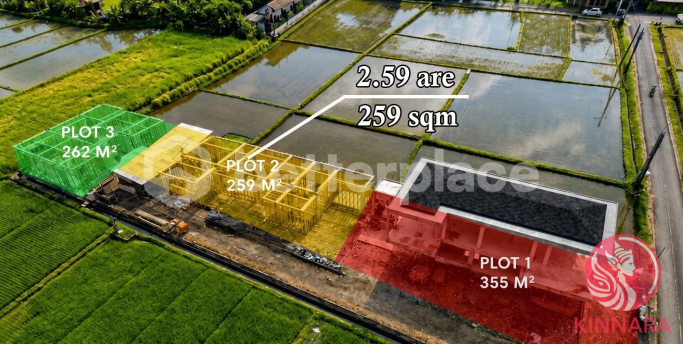 Plot in Sought-After Kedungu - Land, Tabanan, Bali - photo 2